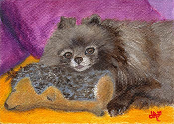 Fine Art Pet Portrait by Artist Donna Aldrich-Fontaine - Pomeranian Dog.jpg